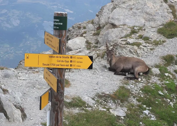 La Godille Apartment *